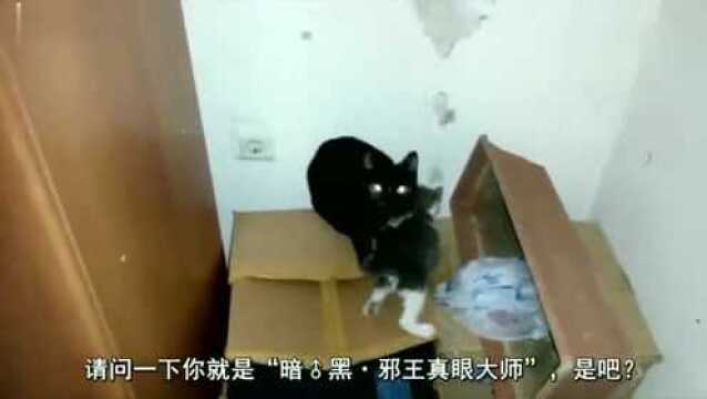 狂风桑:本以为是个王者,原来是个青铜!网友:前方高能!