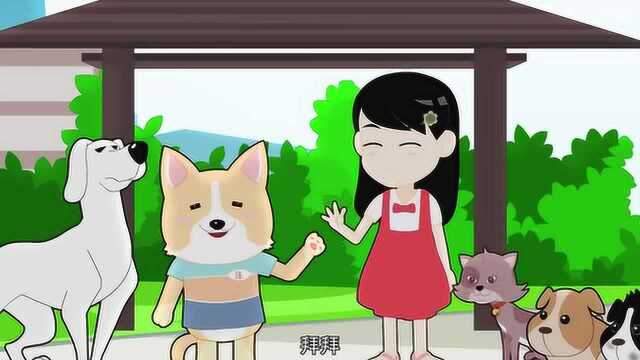 防治狂犬病,从每一个人做起