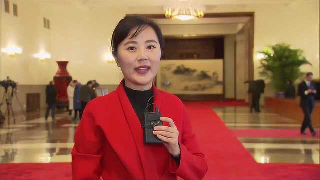 中共中央国务院举行春节团拜会 习近平发表讲话