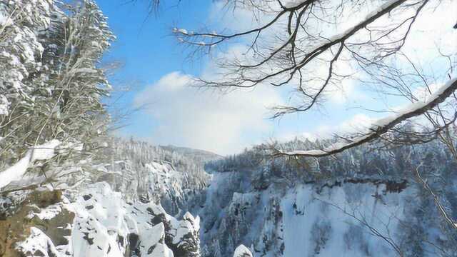 吉林长白山除了高山还有锦江大峡谷,号称中国的科罗拉多大峡谷