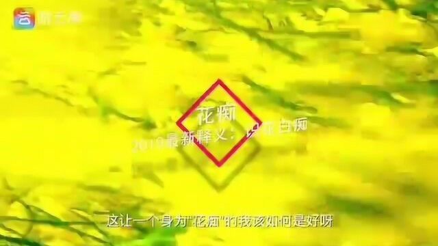 《你好!下一站》之花海漫游记