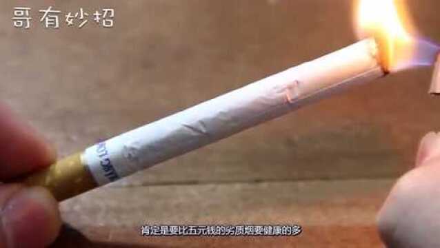 5元一包和50元一包的香烟,到底有什么区别,烟厂职工说出猫腻