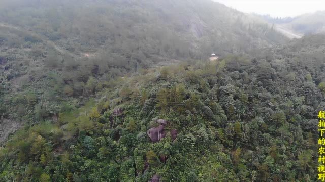 航拍福建农村,近距离一览大山里的风景