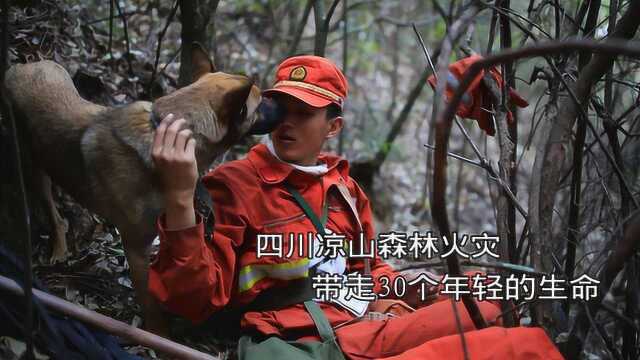 全网暂停闺蜜团比美大赛 一首歌来沉痛哀悼凉山救火英雄