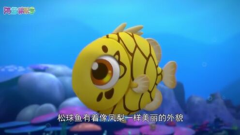 海豚帮帮号 第一季 自然小课堂-松球鱼和费氏弧菌_高清1080p在线观看