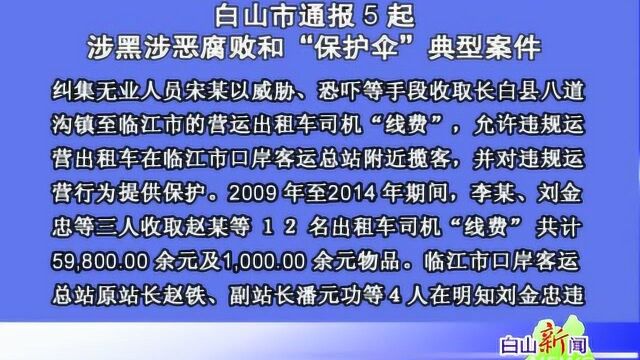 白山市通报5起涉黑涉恶腐败和“保护伞”典型案件