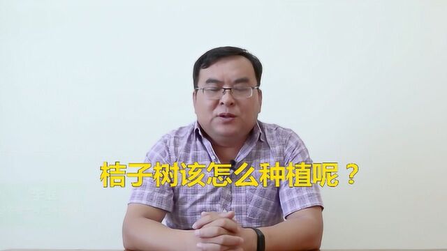 桔子树该怎么种植呢?