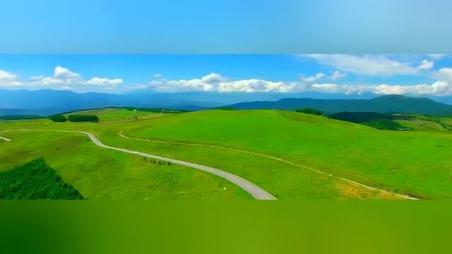 草坪上茂盛的绿草地,与湛蓝的天空相辉映