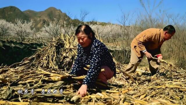 《三首春天的经典歌曲》熟悉的旋律令人沉醉