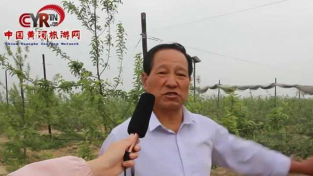 山西:吉县“苹果认领”系列采风活动启动仪式座谈会现场