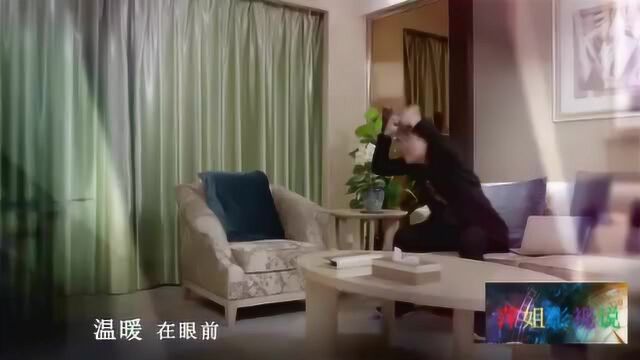 幸福一家人电视剧全集董洁离婚了