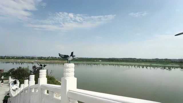 西安昆明池:风景真好,在鹊桥上看风景,我喜欢这里一花一木