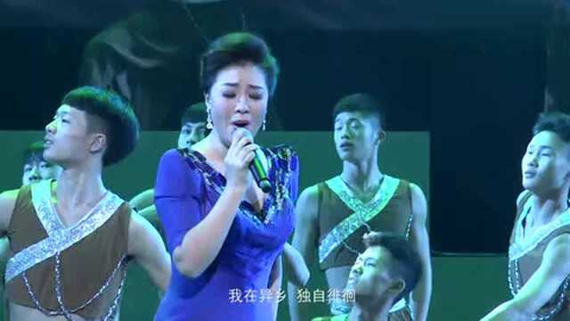 王丽达演唱《故乡》江晖作曲 廖建中作词!