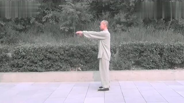 正宗杨氏85式太极拳,永年李占英教学《起势》,不愧是杨氏传人!