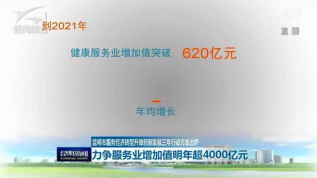 昆明市服务经济转型升级创新发展三年行动方案出炉