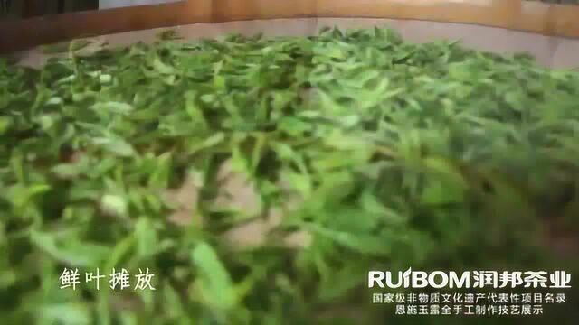 绿茶恩施玉露制作技艺非物质文化遗产代表性项目