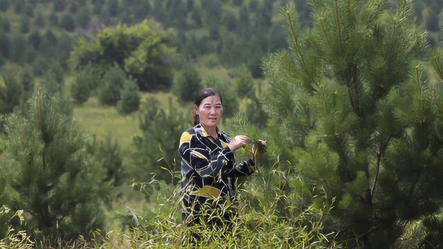 从沙中找绿到绿中找沙——村支书李国琴:生态这碗饭我们村吃定了