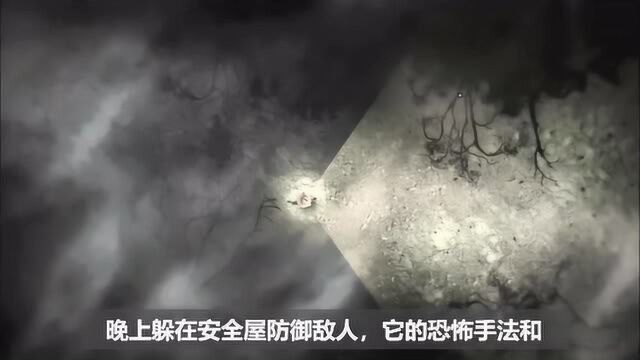 复古风格的生存恐怖游戏《阴暗森林 Darkwood》