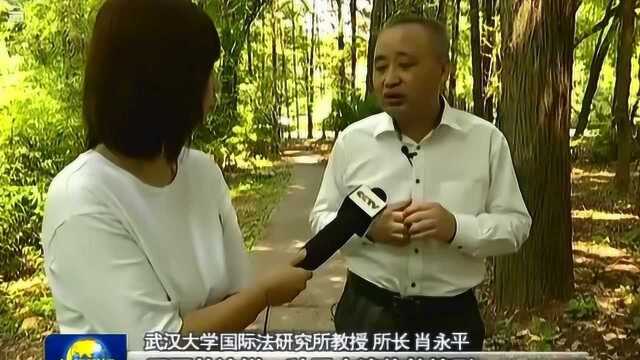 武汉大学举办“中国践行国际法治”研讨会