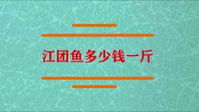 江团鱼价格是多少钱一斤?