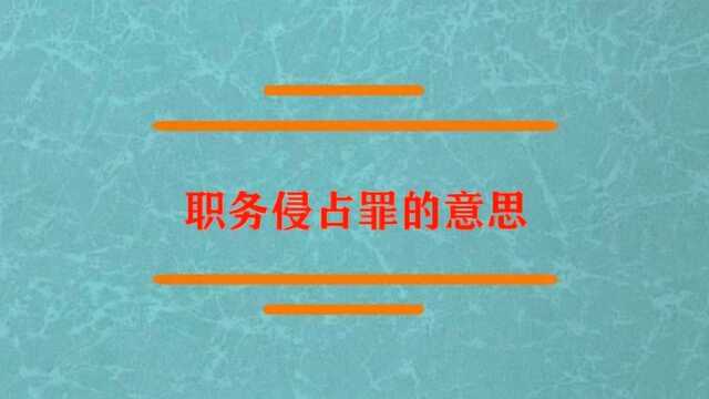 职务侵占罪的意思到底是什么?