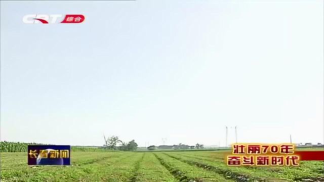 “天下第一粮仓”榆树市:科学技术助力农业增产增收