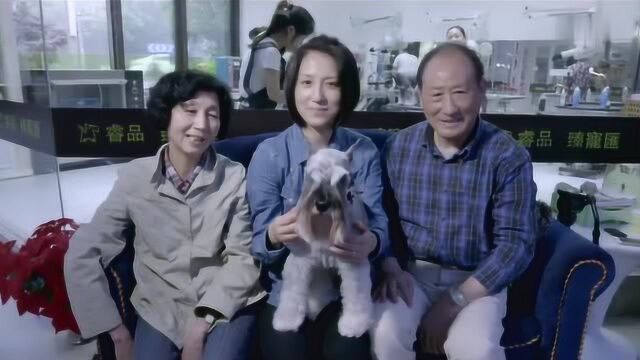 狗狗在中国:宝岛台湾的梗犬专家,梗犬的介绍快来强势围观