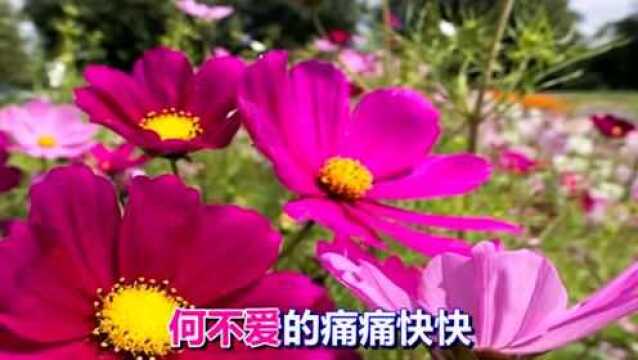 一首非常好听的情歌《没有来世的爱》