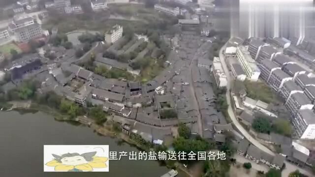 四川:中国盐都之四川自贡井盐