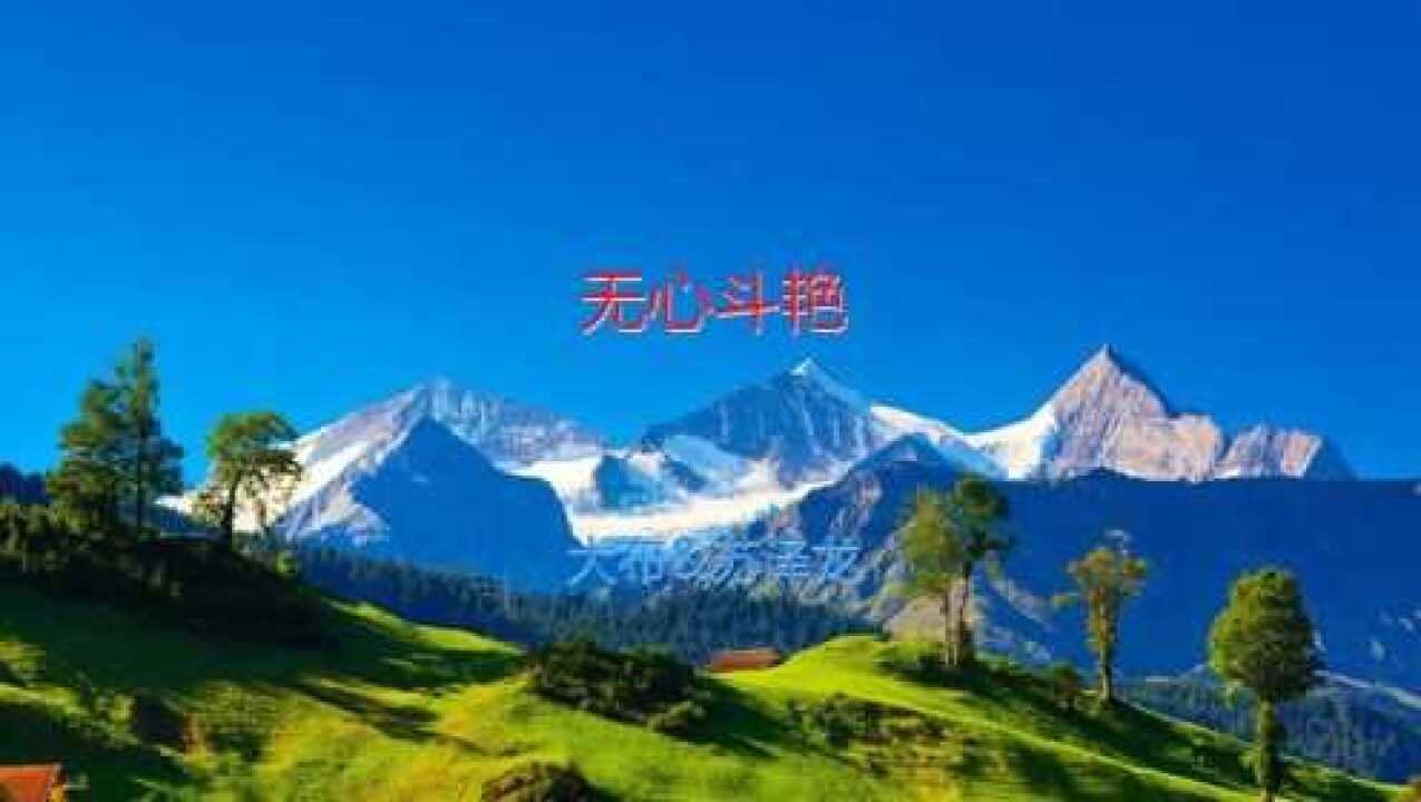 无心斗艳大布苏泽龙