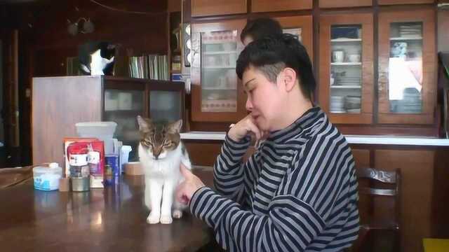 みんな生きている 饲い主のいない猫と暮らして 日本预告片