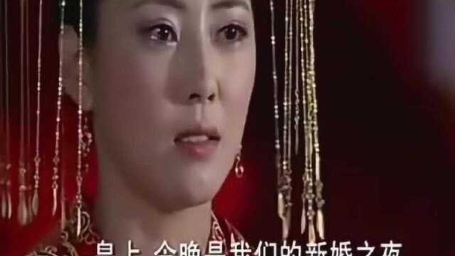 贵妃不甘心新婚之夜被冷落,花式讨好皇上,皇上就是不理她