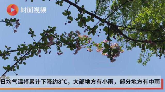 自贡气温创历史同期新高 26日将迎降温降雨