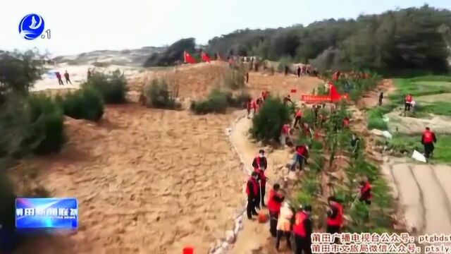 莆田湄洲岛启动“绿满城乡美丽家园”园林绿化提升工程