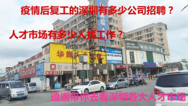 带你去看疫情后复工的深圳人才市场,一沙井人才市场