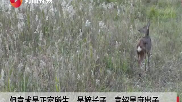 视频谈姓ⷨ⁥瓨16)|汝南袁氏⑦:袁绍参与宫廷争斗