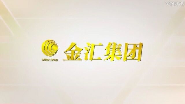 金汇集团关于财务专项审计延期的提示性公告