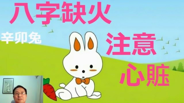 生肖兔【癸卯】,八字缺火,要注意心脏