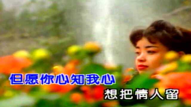 韩宝仪《想把情人留》,庄奴作词,韩宝仪金曲典藏