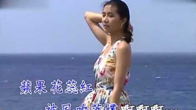 陈小云苹果花