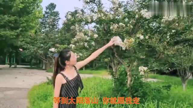 倾情推荐《花桥流水》歌声优美动听,歌词唯美