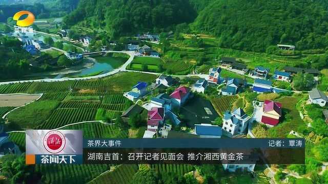 湖南吉首:网红市长介绍茶产业发展坎坷路茶闻天下