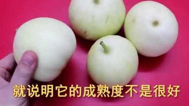 香瓜好不好,看看这里就知道,一挑一个准,老农的方法太棒了