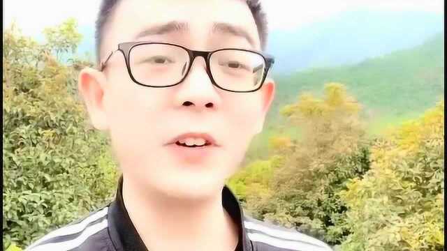 杨电疯:穷,可怕吗?