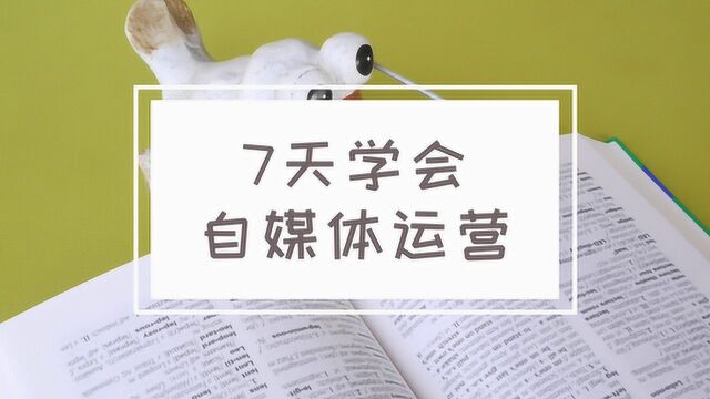 自媒体注册账号千万别随便起名字,学会这三条建议,自带圈粉效应