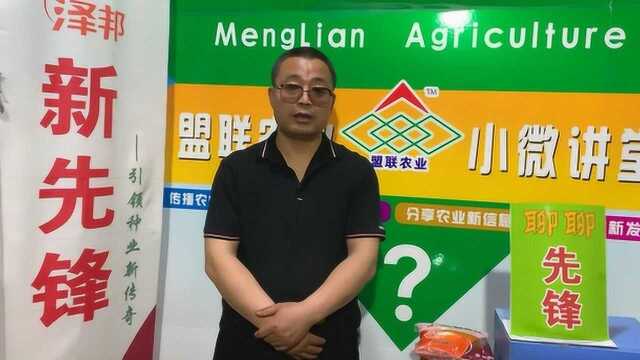 泽邦新先锋 再创新传奇