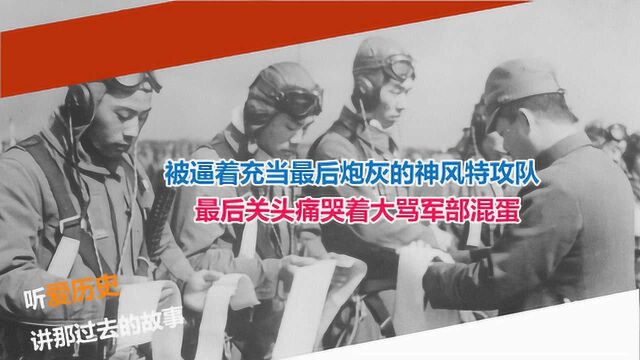 充当炮灰的神风特攻队真实影像 最后关头痛哭着大骂军部混蛋