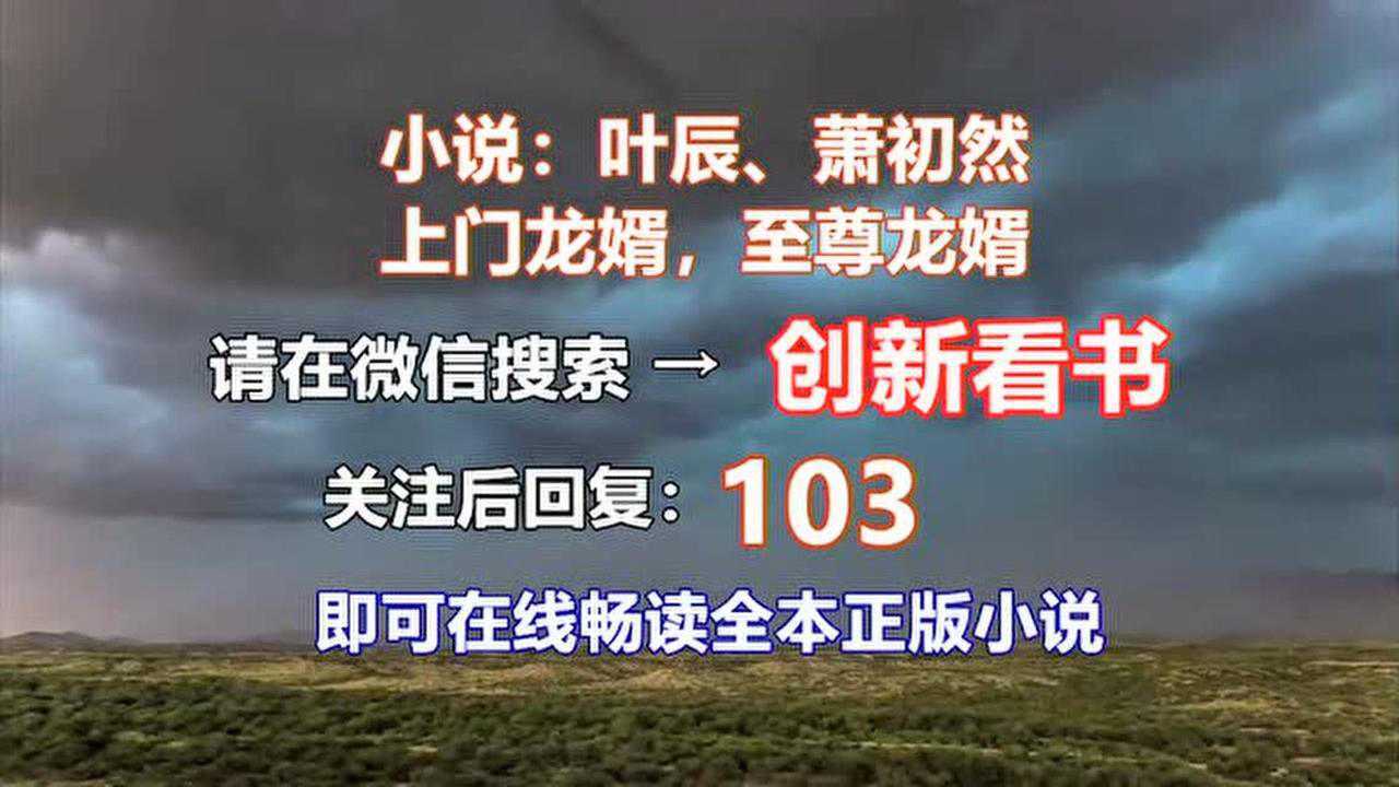 至尊龙婿叶辰萧初然103上门龙婿