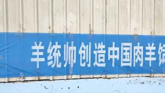 中国十大名牌羊饲料!羊统帅饲料发货四川资阳市场