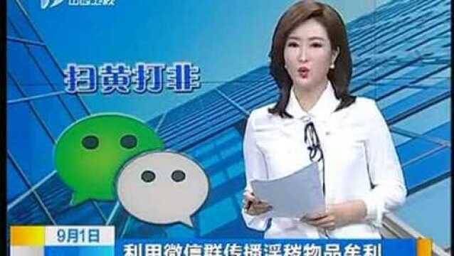 天网恢恢,男子微信群发布淫秽视频,被叛11年